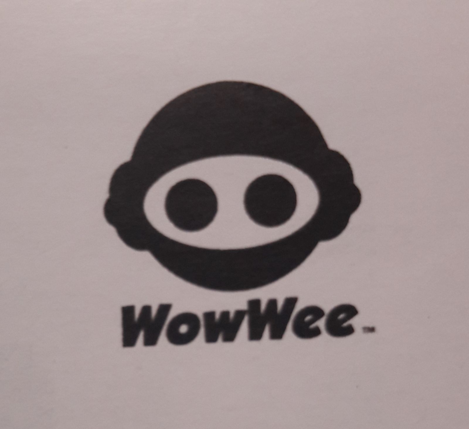 Style d' écriture pour les logos des marques de garçon